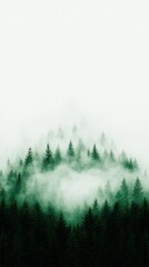 Misty forest landscape nature scene foggy atmosphere tranquil environment aerial view serene concept