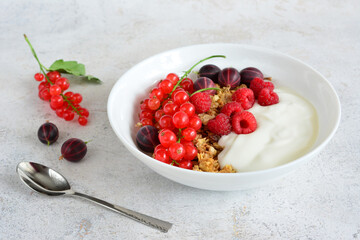 Berry Yogurt Granola Bowl fresh berries