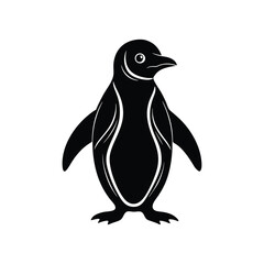 penguin vector illustration