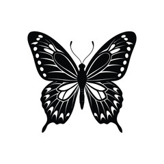 butterfly vector illustration