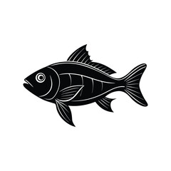 vector illustration of a fish