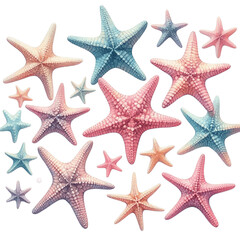 starfish isolated on white background