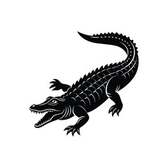 crocodile on white background