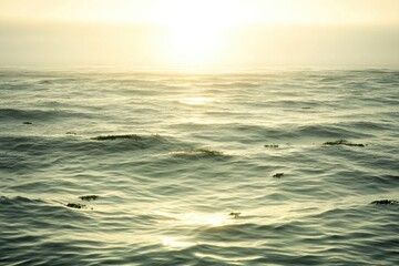 Obraz premium Gentle waves reflect sunlight, creating serene atmosphere of tra