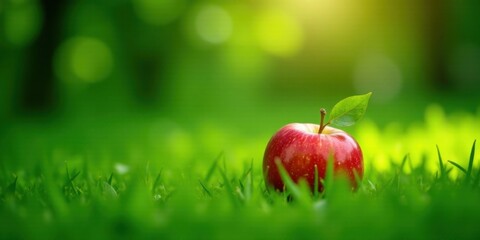 A single ripe red apple rests gently in vibrant green grass, bathed in soft sunlight, a symbol of natural freshness and healthy living