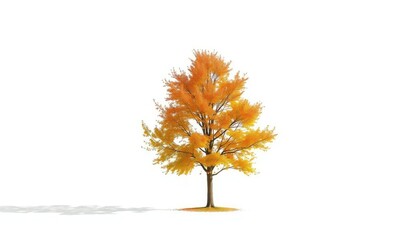 A lone deciduous tree stands against a stark white backdrop, graphic, landscape