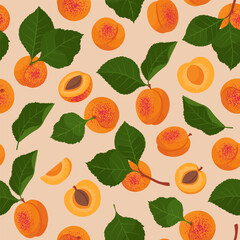 Fresh Slices Apricots seamless pattern. Hand Drawn Vector illustration in flat style
