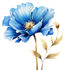 Fototapeta premium PNG Blue flower watercolor and golden line art petal plant inflorescence.