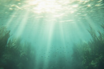 Fototapeta premium Sunlight filters through clear water, illuminating vibrant under