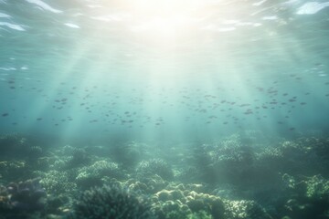 Fototapeta premium Sunlight pierces through water, illuminating vibrant coral and f