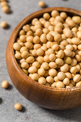 Dry Organic Raw Soy Beans