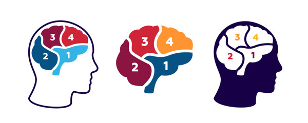 Three stylized brain illustrations show numbered sections highlighting distinct brain areas.