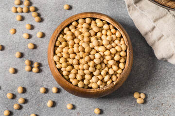 Dry Organic Raw Soy Beans