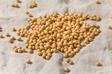 Dry Organic Raw Soy Beans