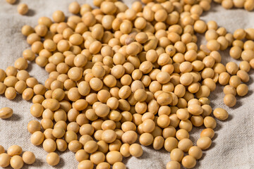 Dry Organic Raw Soy Beans