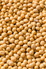 Dry Organic Raw Soy Beans
