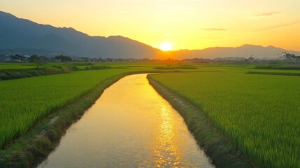 Fototapeta premium Stunning sunset over vietnam s rice fields a perfect summer travel photography scene