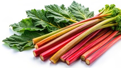 Colorful stalks of rhubarb with leaves and buds on a white background, vegetables, stalks,  vegetables, stalks, food