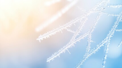 Delicate ice crystals coat thin branches, glistening in soft winter sunlight against a blurred blue and golden background.  
