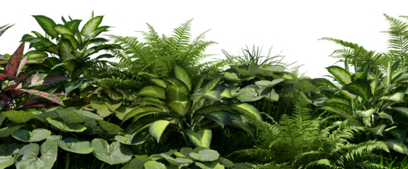 3D render tropical plant foreground on transparent background