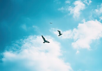 Majestic Birds Flying High in a Clear Blue Sky with Fluffy White Clouds and Soft Natural Lighting