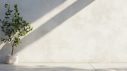 Modern plant indoor sunlit wall