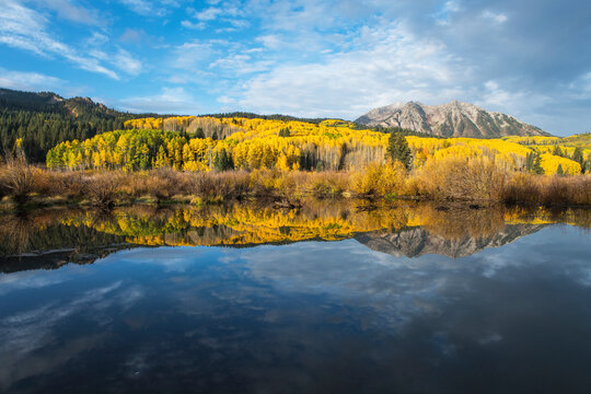 Kebler Pass Colorado Fall Colors
