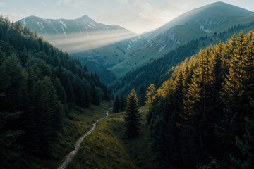 Sunlit Valley Between Green Mountains at Sunrise
