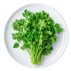 Fresh Bunch of Parsley on a White Plate Isolated on a Light Background