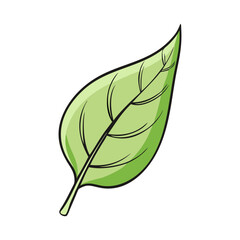 Fototapeta premium Detailed Green Leaf Icon Illustration, A clean and detailed green leaf illustration, perfect for nature, eco, and organic-themed graphic designs. 