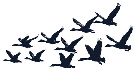 PNG Silhouetted flying ducks illustration