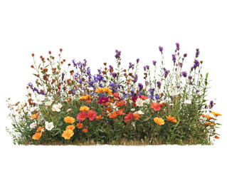 A vibrant display of colorful flowers in full bloom, showcasing nature's beauty.