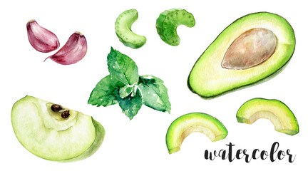 Hand-Painted Watercolor Green Apple, Celery, Garlic, Mint, and Avocado Botanical Illustration Isolated on White