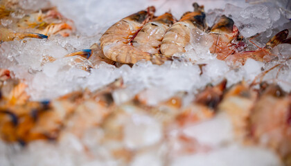 Fresh seafood display at thailand fish market with shrimp on ice
