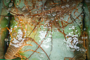 Lobsters and crustaceans at vibrant thailand fish market
