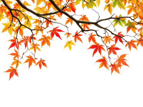 Vibrant autumn leaves displaying hues of orange, red, and yellow on a tree branch. - Powered by Adobe