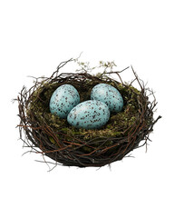 Obraz premium Nest with Eggs - Nature's Beginning , transparent background