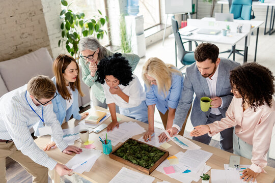 Office employees collaborating on a project in a modern and bright workspace, engaging in teamwork and brainstorming ideas