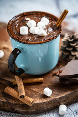 Cozy Winter Hot Chocolate with Marshmallows and Cinnamon