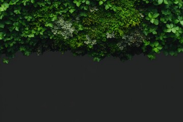 Lush greenery forms vibrant canopy, creating serene and inviting