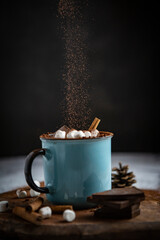 Cozy Winter Hot Chocolate with Marshmallows and Cinnamon