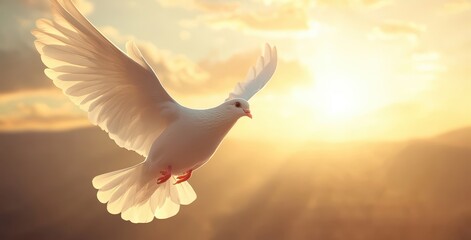 Majestic White Dove in Flight Against a Golden Sunrise Backdrop Highlighting Freedom and Peaceful Moments in Nature