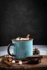 Cozy Winter Hot Chocolate with Marshmallows and Cinnamon