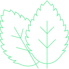 Spearmint single vector icon illustration