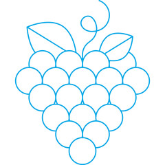 Grapes single vector icon illustration