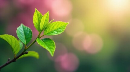 A vibrant sprig of new leaves basks in the warm glow of sunlight, exhibiting a lush, healthy green hue against a softly blurred background of pastel colors.