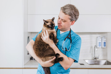 Veterinarian doctor petting a beautiful cat before a health exam in the clinic. Pet animals care...