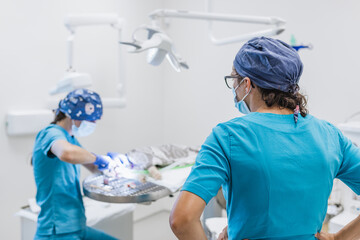 Veterinary dentistry and oral surgery team during intervention on pet animal under anesthesia. Vet dental specialist concept.