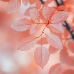 Fototapeta premium there is a close up of a leafy branch with pink leaves