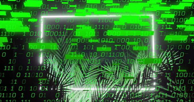 Binary code and data processing image over tropical palm leaves - Powered by Adobe